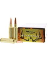 300 wsm 165 gr Fusion