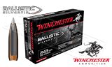 Winchester 243 WIN Ballistic Silvertip, Polymer Tipped 95 Grain Box of 20 #SBST243A
