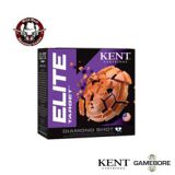 kent 20 GA