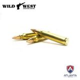 atlanta arms .223 / 5.56 NATO