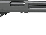 remington 12 GA